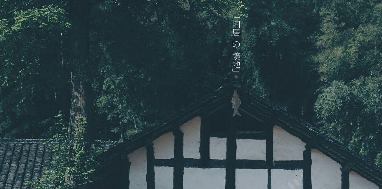 拯救机智男孩