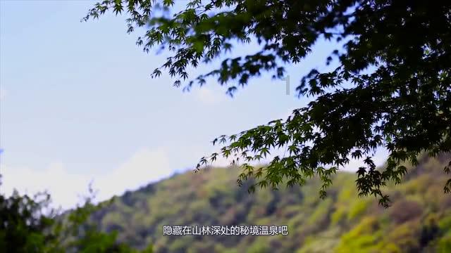 植物大战僵尸8
